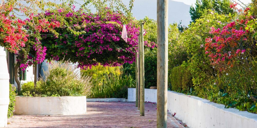 Noordhoek Hideaways | Little Paradise