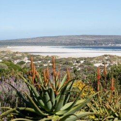 Noordhoek Hideaways | Noordhoek Bliss Beach House