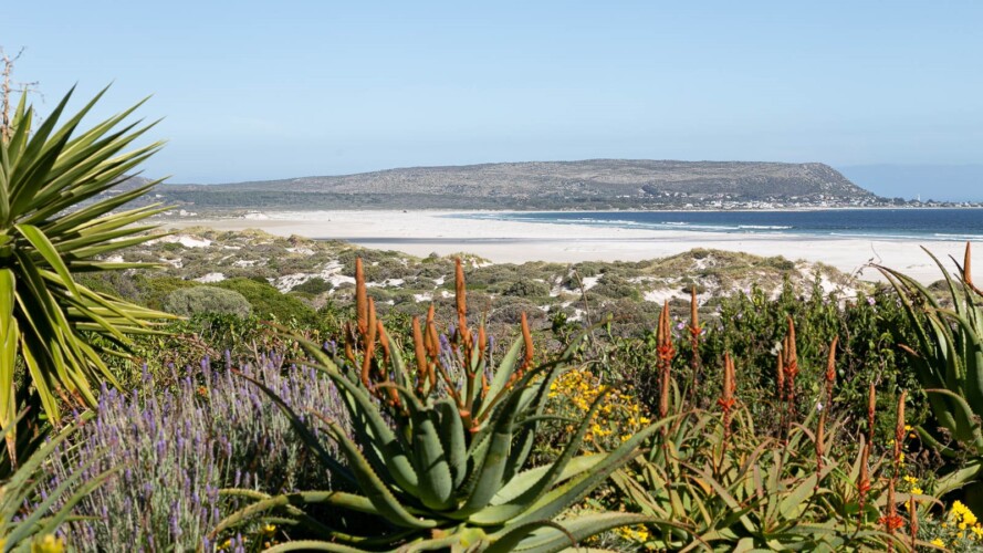 Noordhoek Hideaways | Noordhoek Bliss Beach House