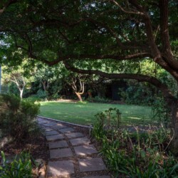 Noordhoek Hideaways | Sunny Beach Cottage