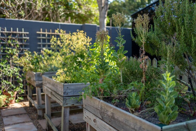 Noordhoek Hideaways | Sunny Beach Cottage
