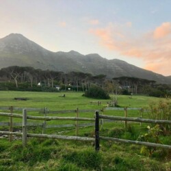 Noordhoek Hideaways | Sunny Beach Cottage