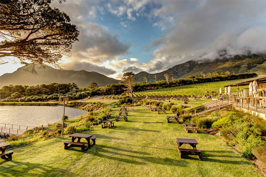 Cape Point Vineyards