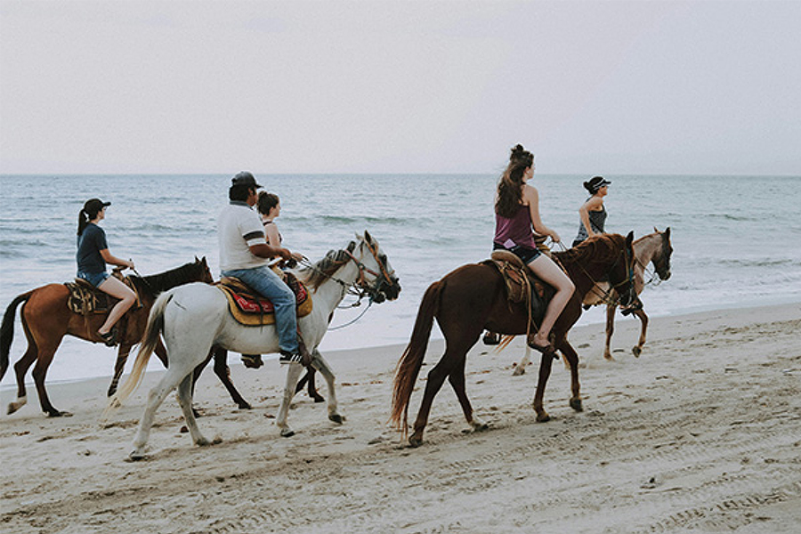 Horse riding on the beach