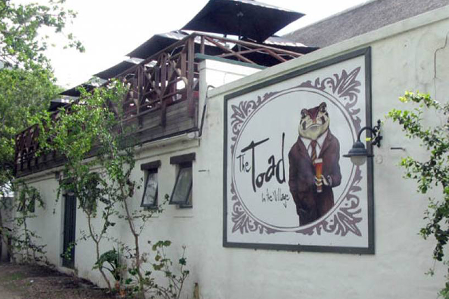 The Toad In The Village